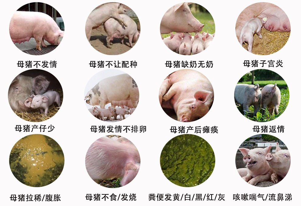 推广页面331.jpg