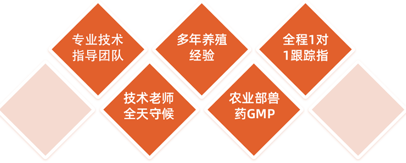 未标题-1.png