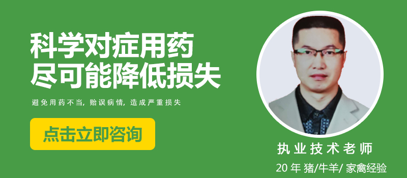 咨询.jpg