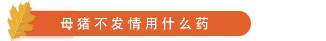 不发情用药.png