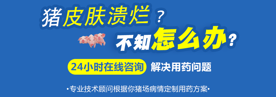 猪皮肤溃烂.png