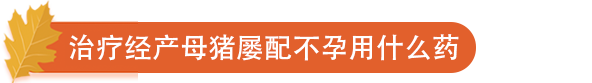 治疗经产母猪屡配不孕用什么药.png