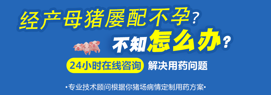 经产母猪屡配不孕.png