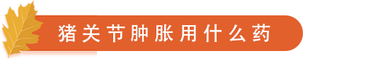 猪关节肿胀用什么药.png