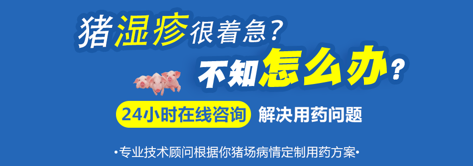猪得了湿疹怎么办.png