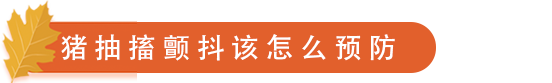 猪抽搐颤抖该怎么预防.png