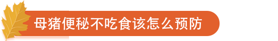 母猪便秘不吃食该怎么预防.png