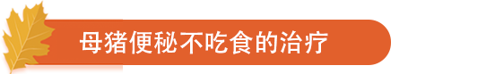 母猪便秘不吃食的治疗.png