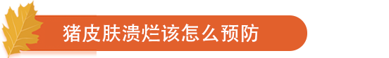 猪皮肤溃烂该怎么预防.png