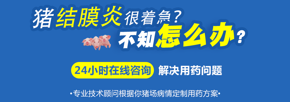 结膜炎.png