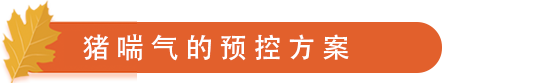 猪喘气的预控方案.png