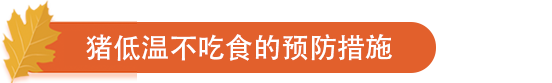 猪低温不吃食的预防措施.png