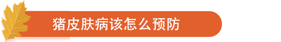 猪皮肤病该怎么预防.png
