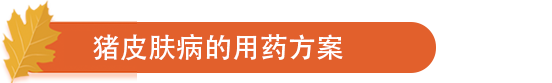 猪皮肤病的用药方案.png