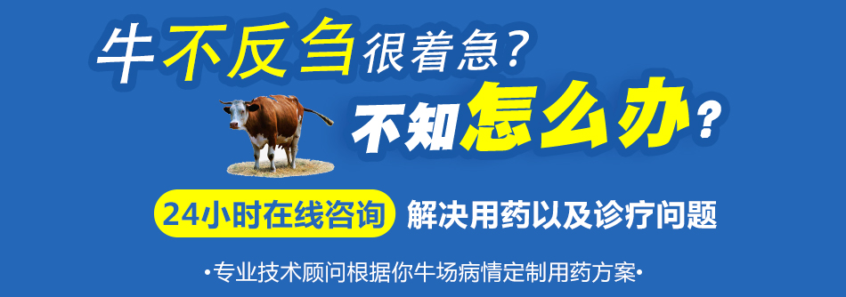 牛不反刍.jpg