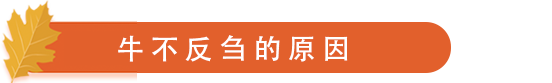 牛不反刍的原因.png