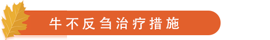 牛不反刍治疗措施.png