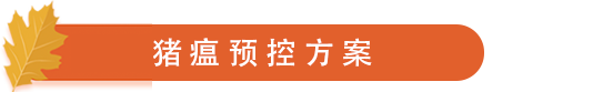 猪瘟预控方案.png