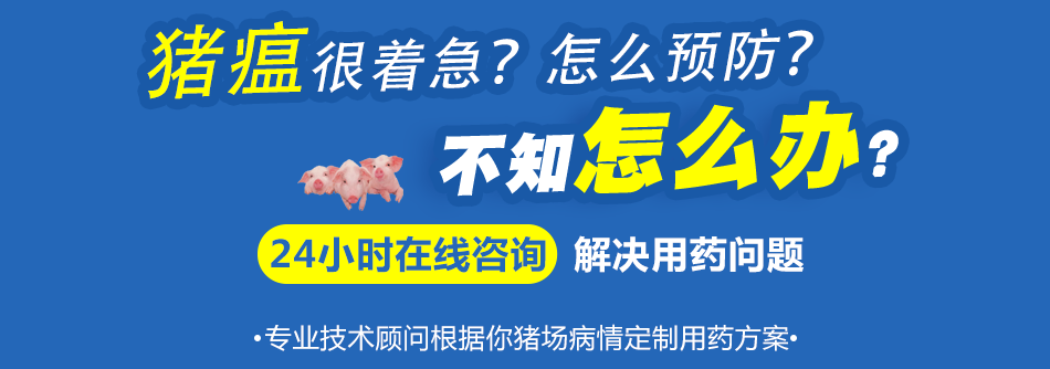 猪瘟.png