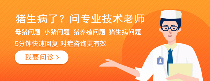 猪生病问老师2.jpg