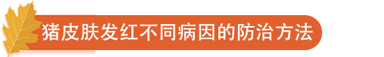 猪皮肤发红不同病因的防治方法.png