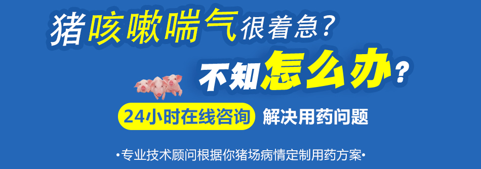 咳嗽气喘.jpg