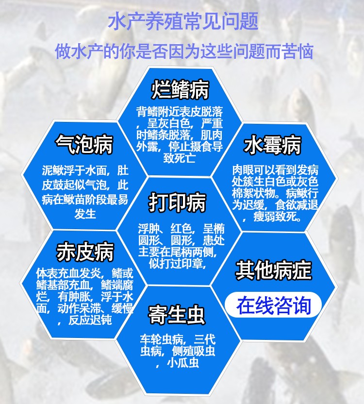 泥鳅.jpg