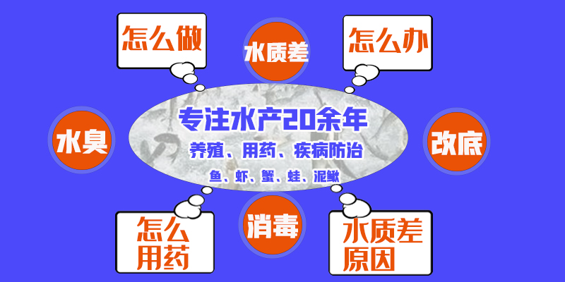 横鱼.jpg