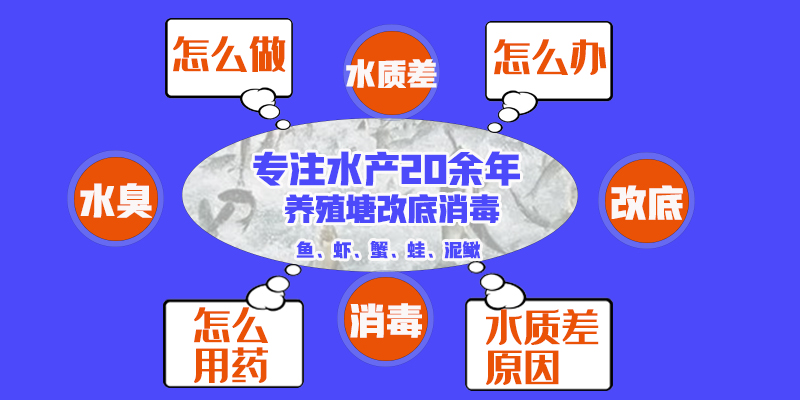 改底横1.jpg