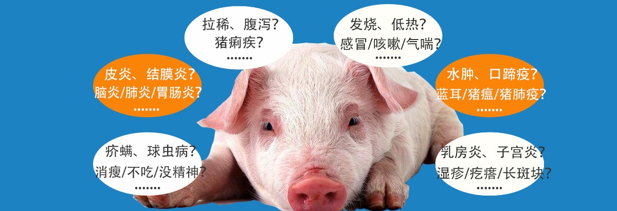 猪病防治