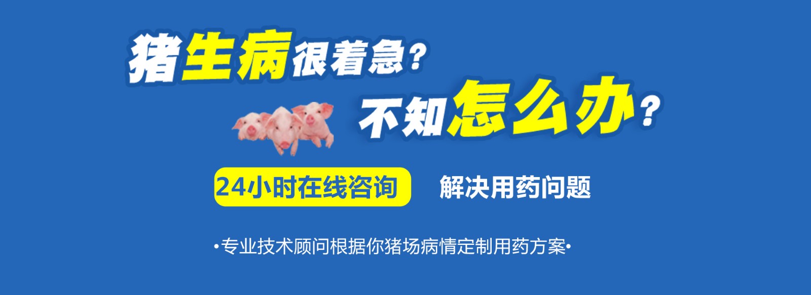 猪生病不知怎么办