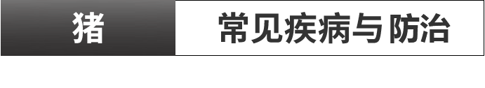 猪病防治