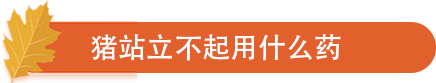 猪站立不起用什么药.png