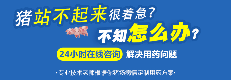 站不起来.jpg